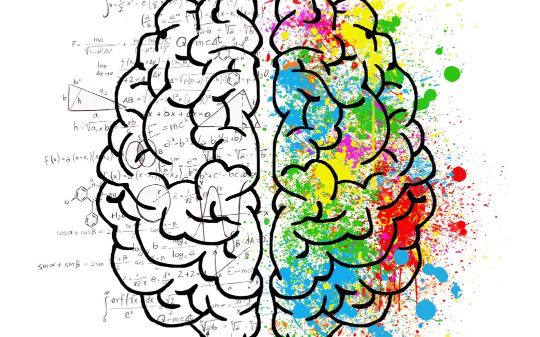 Was Du aus der Hirnforschung lernen kannst und solltest